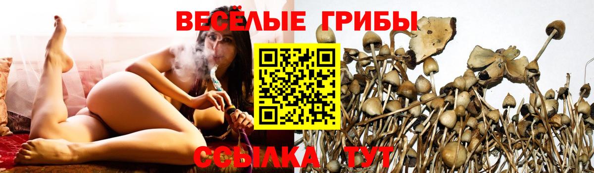 Псилоцибиновые грибы мухоморы  Вход с VPN  купить закладку  Вышний Волочёк 